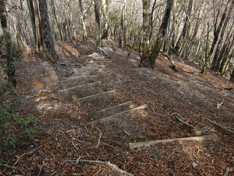 20200110hike (222)
